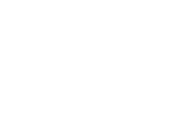 Branding Icon